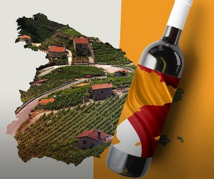 Винный безлимит в ROJO ресторан Алматы Бар, Винотека Алматы